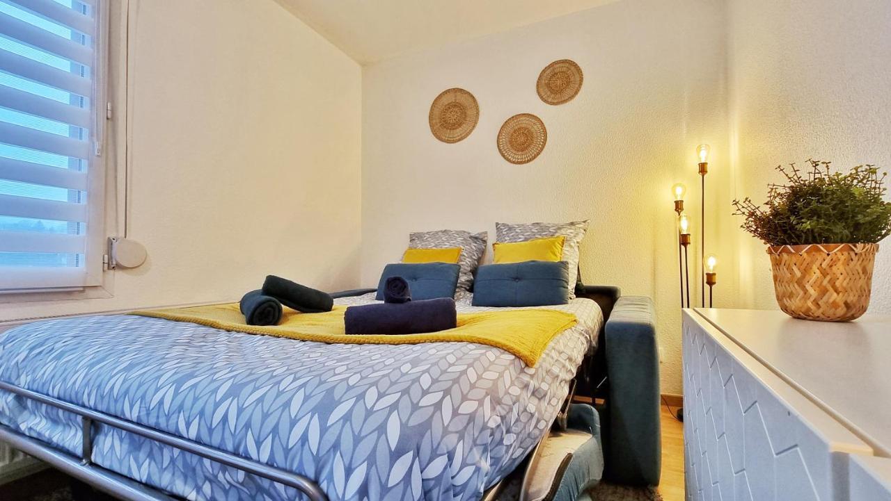 Le Smart - Parking - Terrasse - Wifi - Mulhouse - Relax Bnb Pfastatt Екстериор снимка